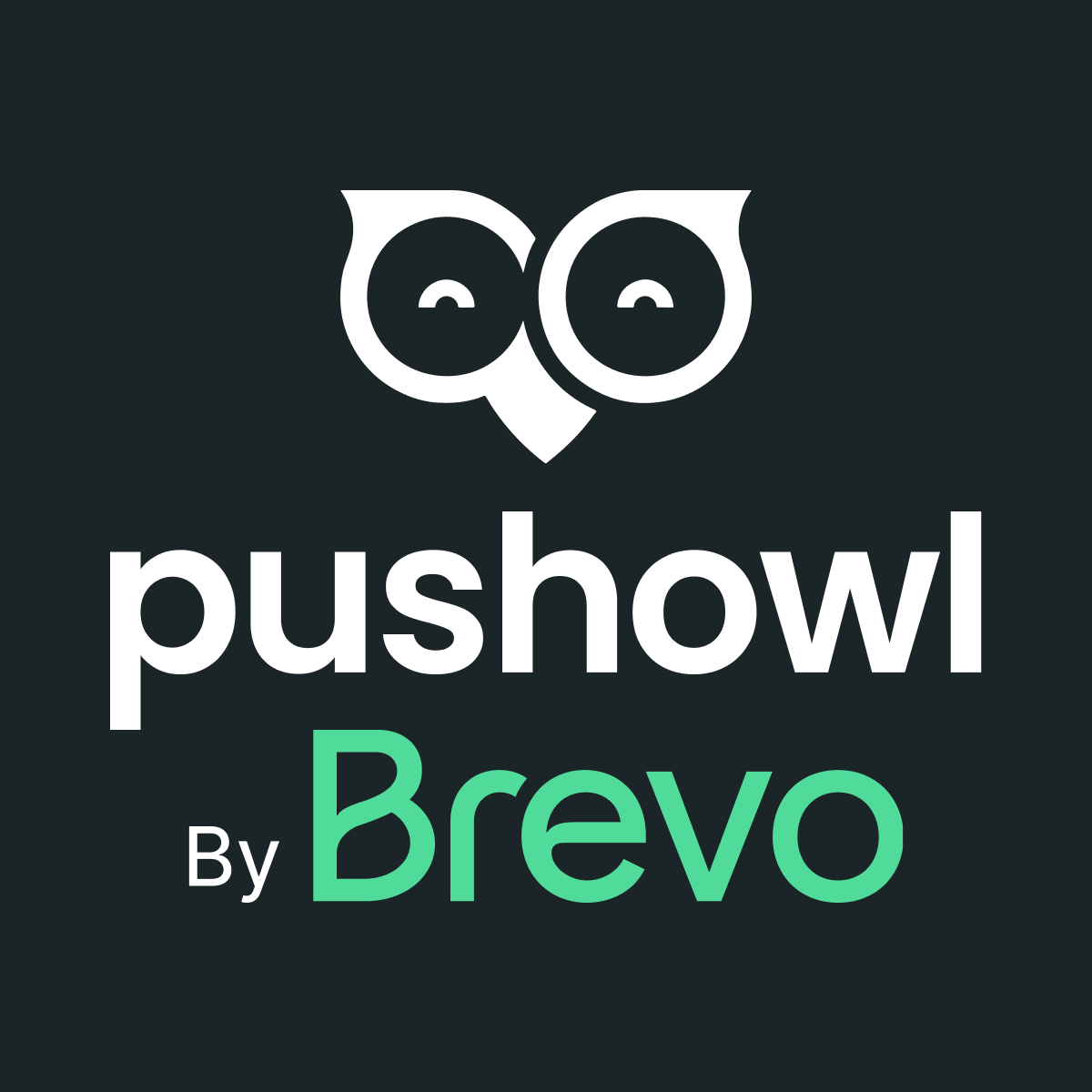 PushOwl/Brevo: Email,Push,SMS LOGO